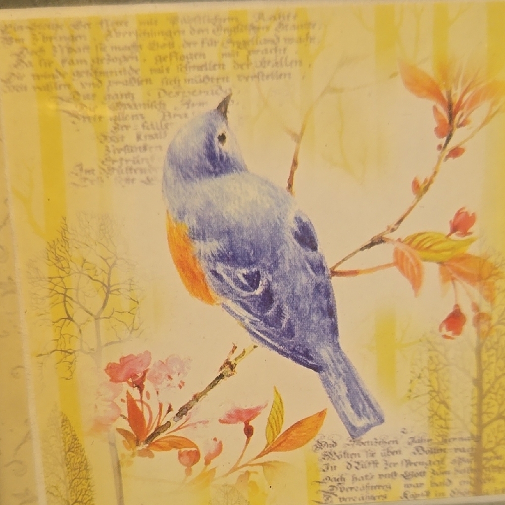 Pretty Picture - Picture 2 of 9